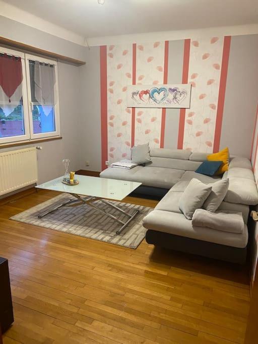 Le P'tit Mintz Ferienhaus Natzwiller